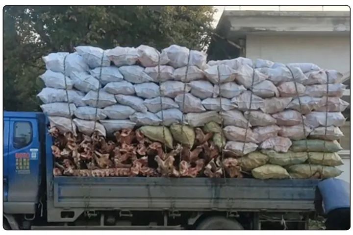 動(dòng)物骨回收“變廢為寶”,堆放、加工異味難題,如何使用除臭劑解決?