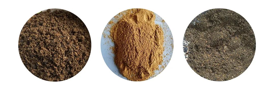 羽毛粉加工腥味、苦味、惡臭味混雜,看<a href='/' style='color: blue;' target='_blank'>工業(yè)除臭劑</a>如何快速除臭!.jpg 羽毛粉加工腥味、苦味、惡臭味混雜,看<a href='/' style='color: blue;' target='_blank'>工業(yè)除臭劑</a>如何快速除臭!.jpg