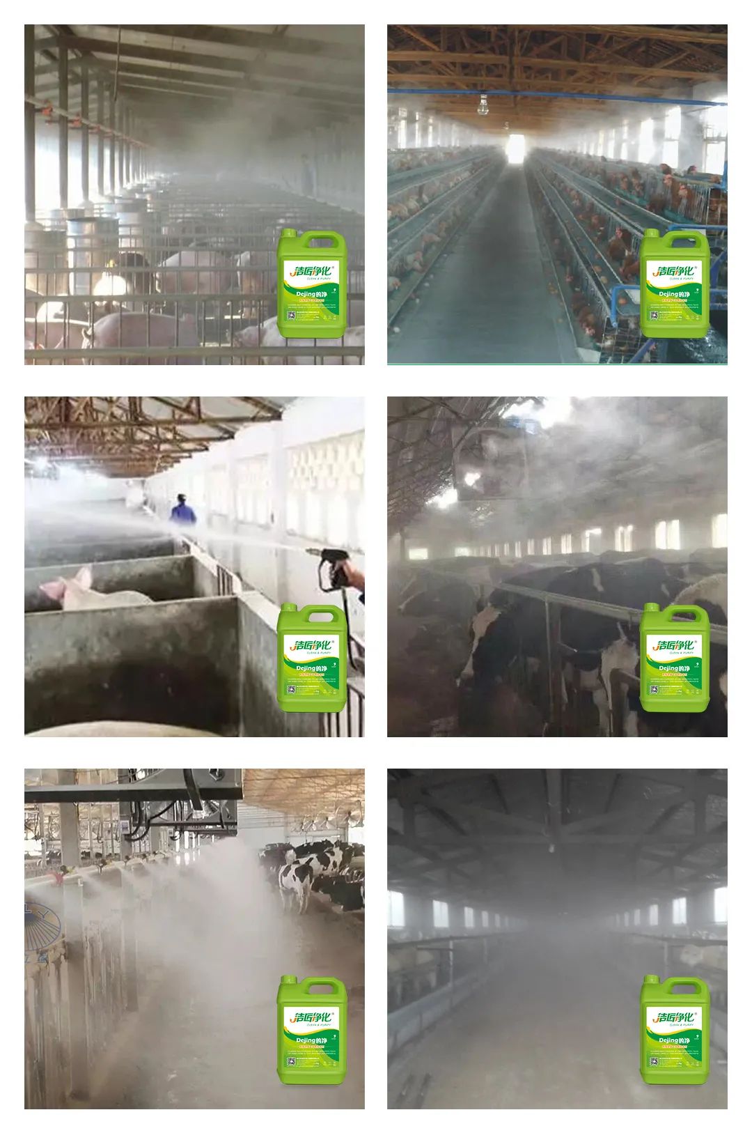 養殖場太臭，用Dejing的凈除臭劑迅速除臭！豬圈/雞場/牛場/羊圈....jpg